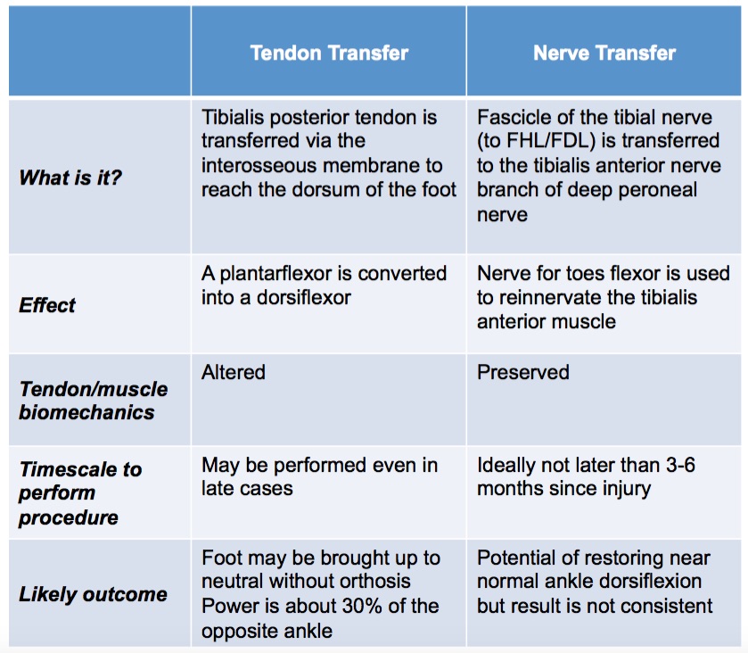 Common Peroneal Nerve Palsy